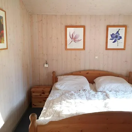 Seeschwalbe 11 Mirow