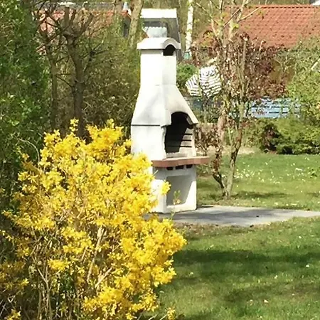 Seeschwalbe 11 * Mirow